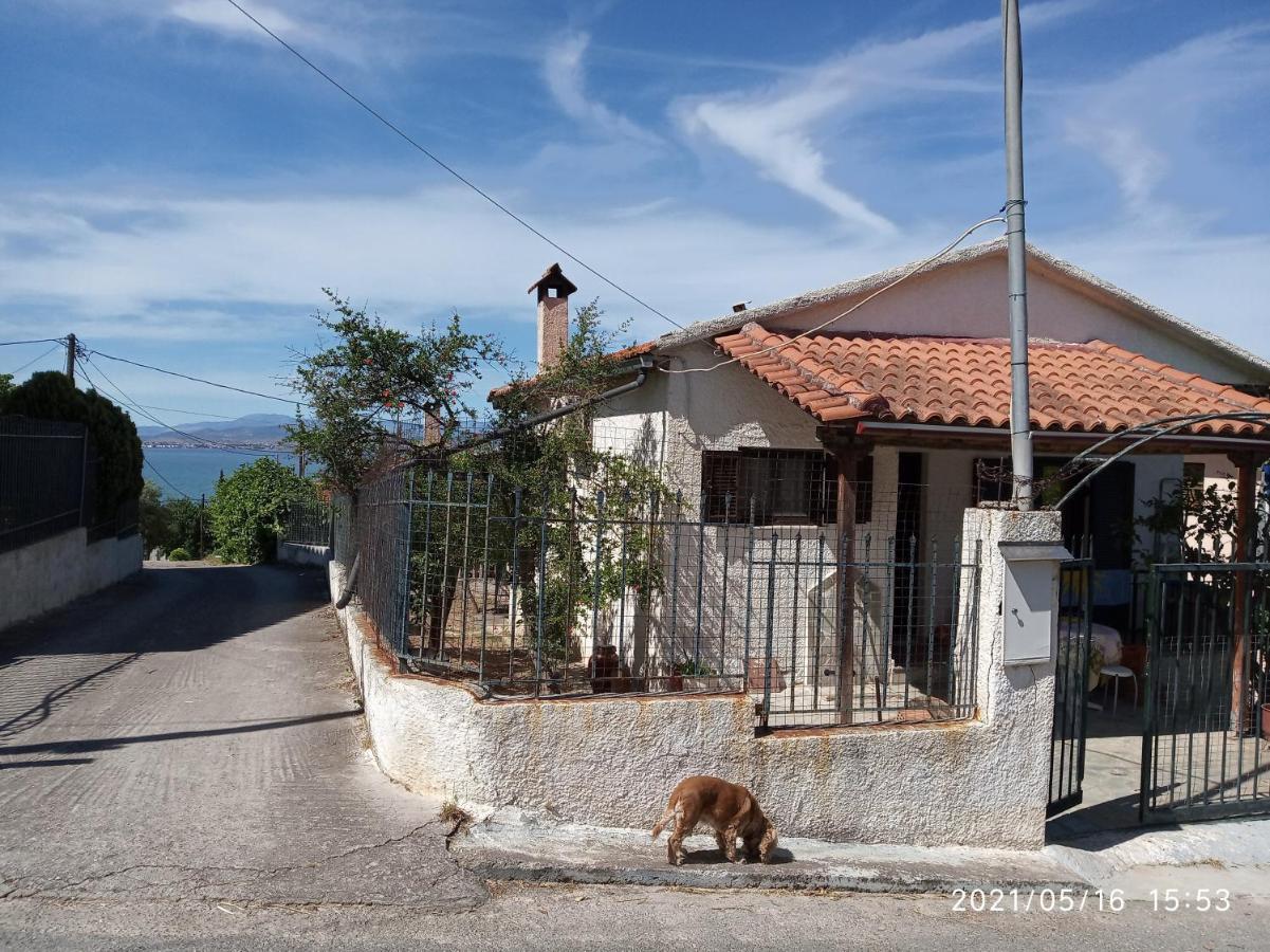 Sea View Dilesi Villa Dhílesi Exteriör bild