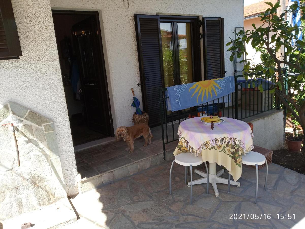 Sea View Dilesi Villa Dhílesi Exteriör bild